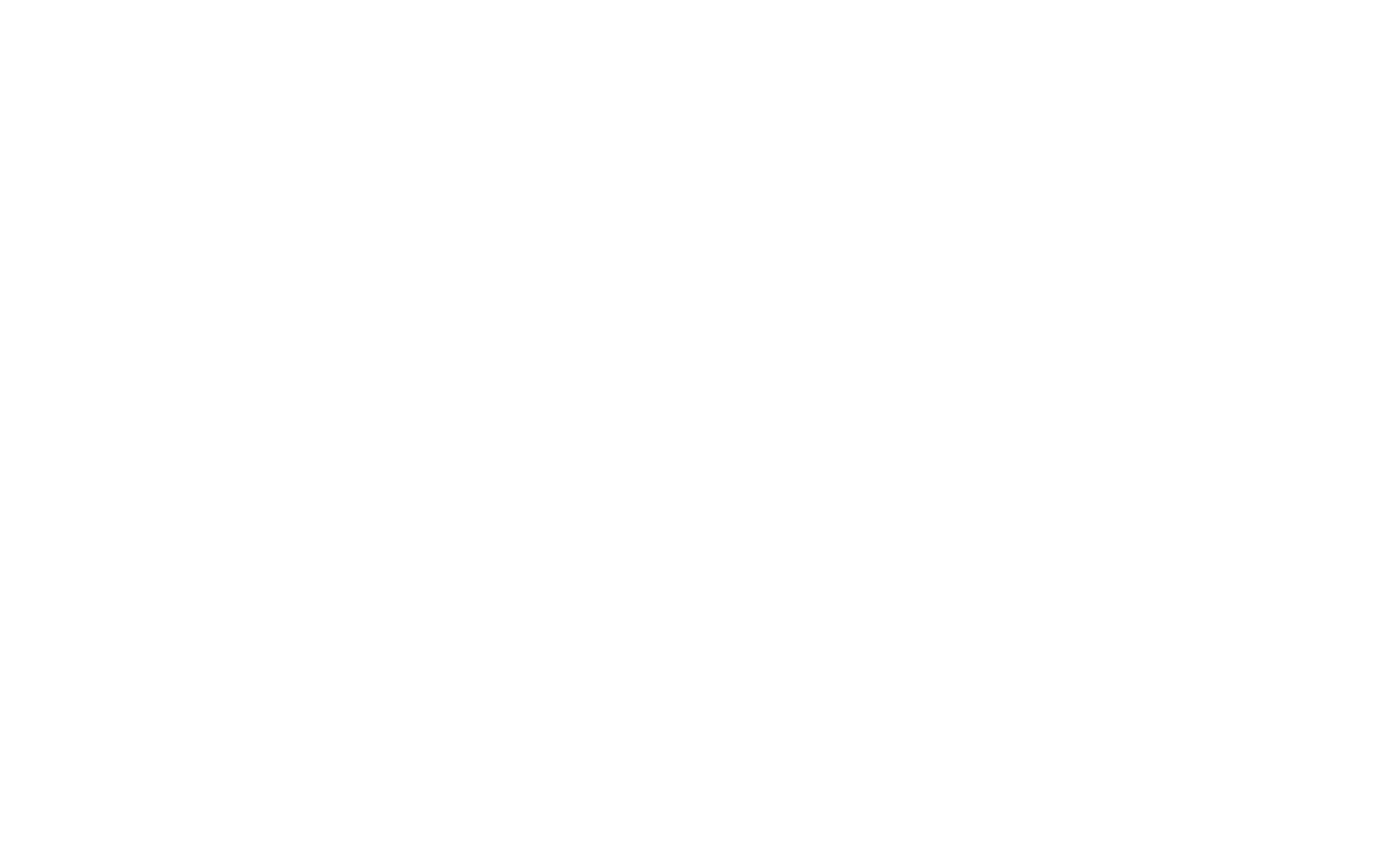 Ozone Odor Busters